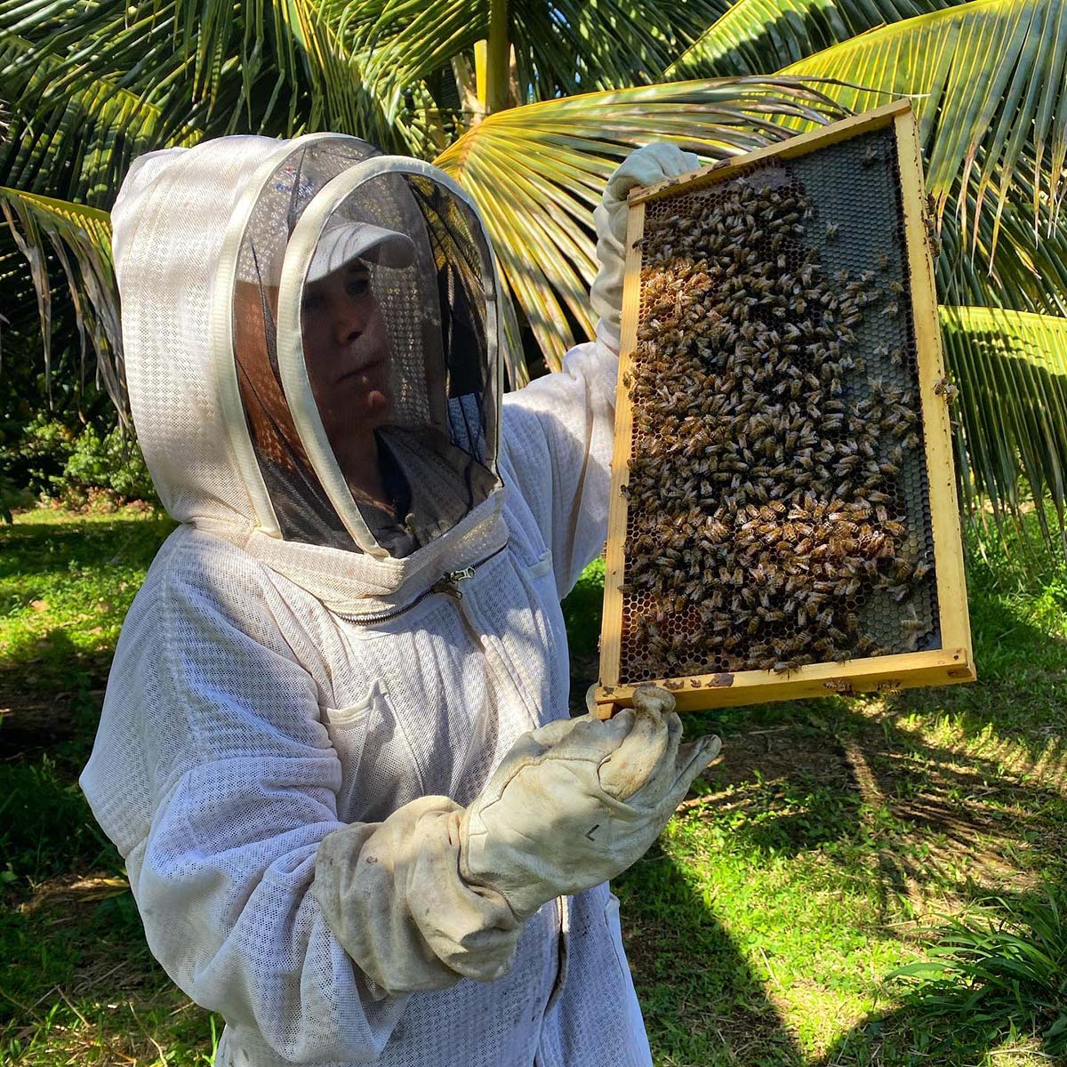 RHHC Visitors in bee suits